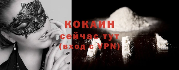 хмурый Абаза