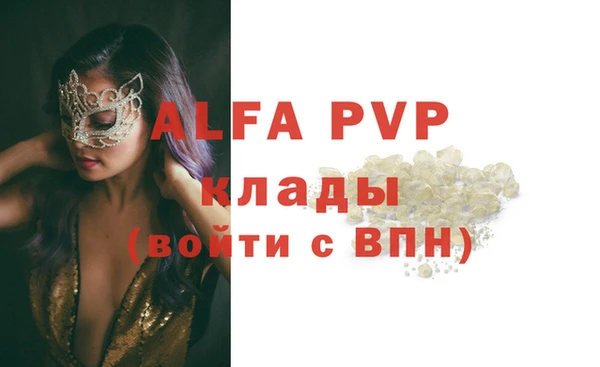 хмурый Абаза