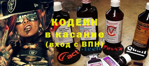 хмурый Абаза