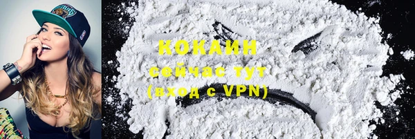 хмурый Абаза