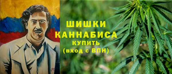 хмурый Абаза
