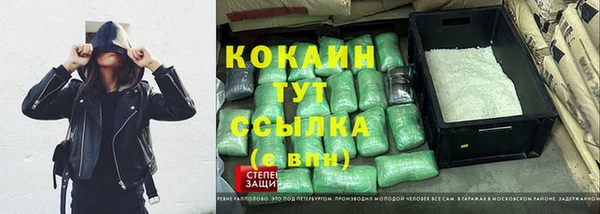 хмурый Абаза