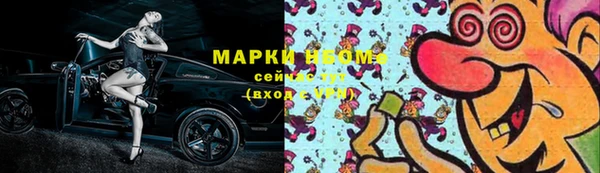 хмурый Абаза