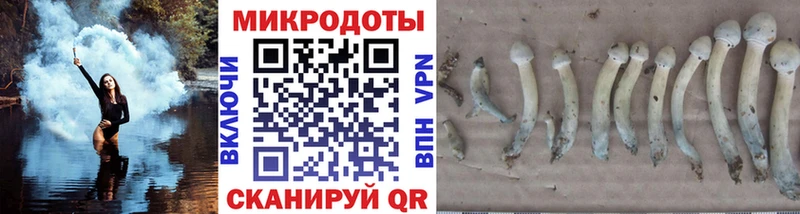 где продают   KRAKEN онион  Галлюциногенные грибы Magic Shrooms  Щучье 
